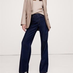 Banana Republic Icon Classic Wide Leg Jean